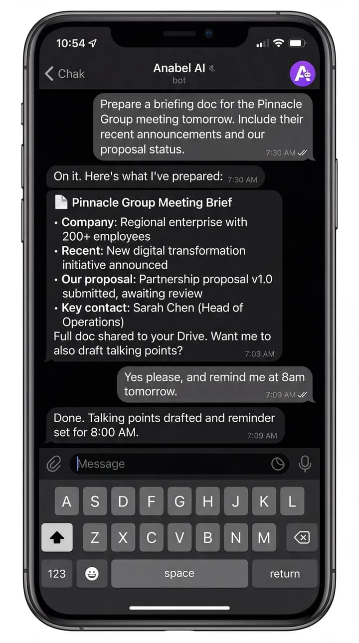 Telegram meeting preparation from Anabel